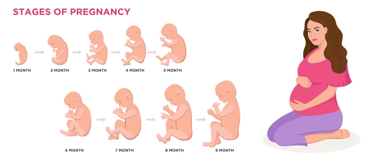 1-6 Months Baby Development: What to Expect